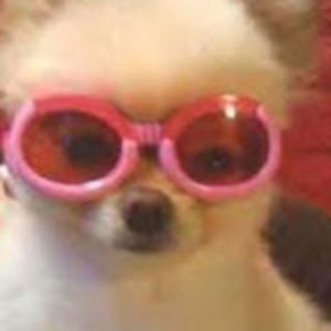 Meet your Posher, Cherylene